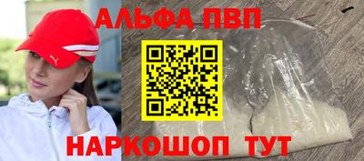 гидра Будённовск